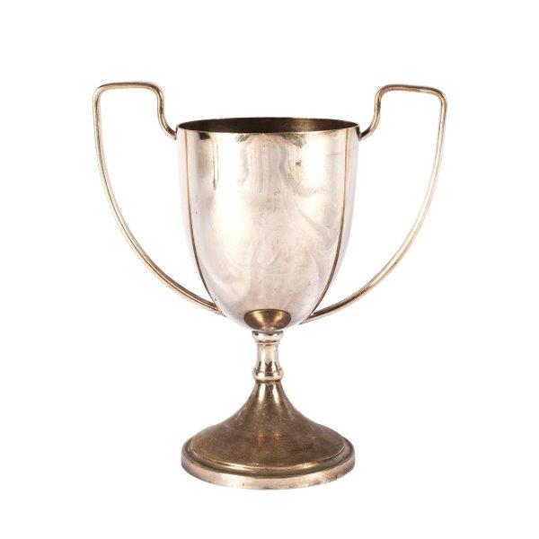Vase Silver Trophy Large Mixed My Pretty Vintage Décor Hire wedding coordinating Paarl